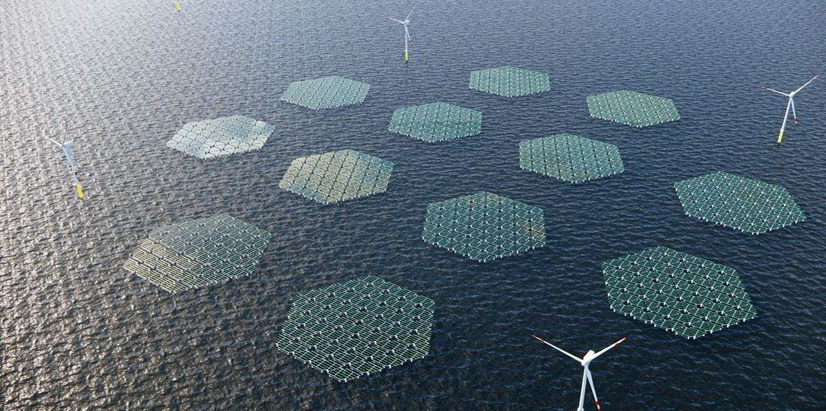 What’s being claimed as the world’s largest hybrid offshore floating solar plant is set to hit the North Sea in 2026.