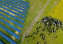 Farmers without solar panels could be missing out on up to £1bn over the next two years, according to new analysis from the Energy and Climate Intelligence Unit (ECIU).