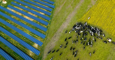 Farmers without solar panels could be missing out on up to £1bn over the next two years, according to new analysis from the Energy and Climate Intelligence Unit (ECIU).