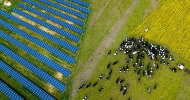 Farmers without solar panels could be missing out on up to £1bn over the next two years, according to new analysis from the Energy and Climate Intelligence Unit (ECIU).