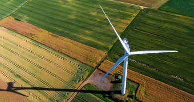 Downing Street appears likely to allow new onshore wind projects in England after years of an effective ban, Grant Shapps has indicated, with ministers giving way in the face of a growing backbench Conservative rebellion.