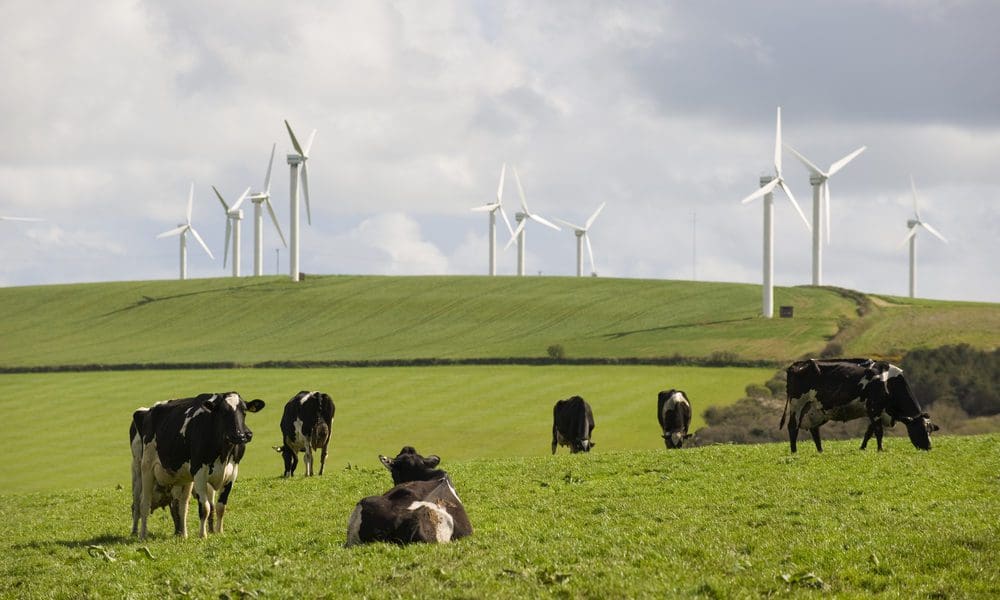 The wind farm development is a familiar bone of contention. To some, the tall, turbined spires provide a glimpse of a green, low carbon future while for others they represent an inefficient, nature-threatening eyesore.