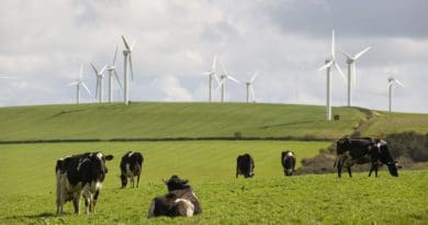 The wind farm development is a familiar bone of contention. To some, the tall, turbined spires provide a glimpse of a green, low carbon future while for others they represent an inefficient, nature-threatening eyesore.