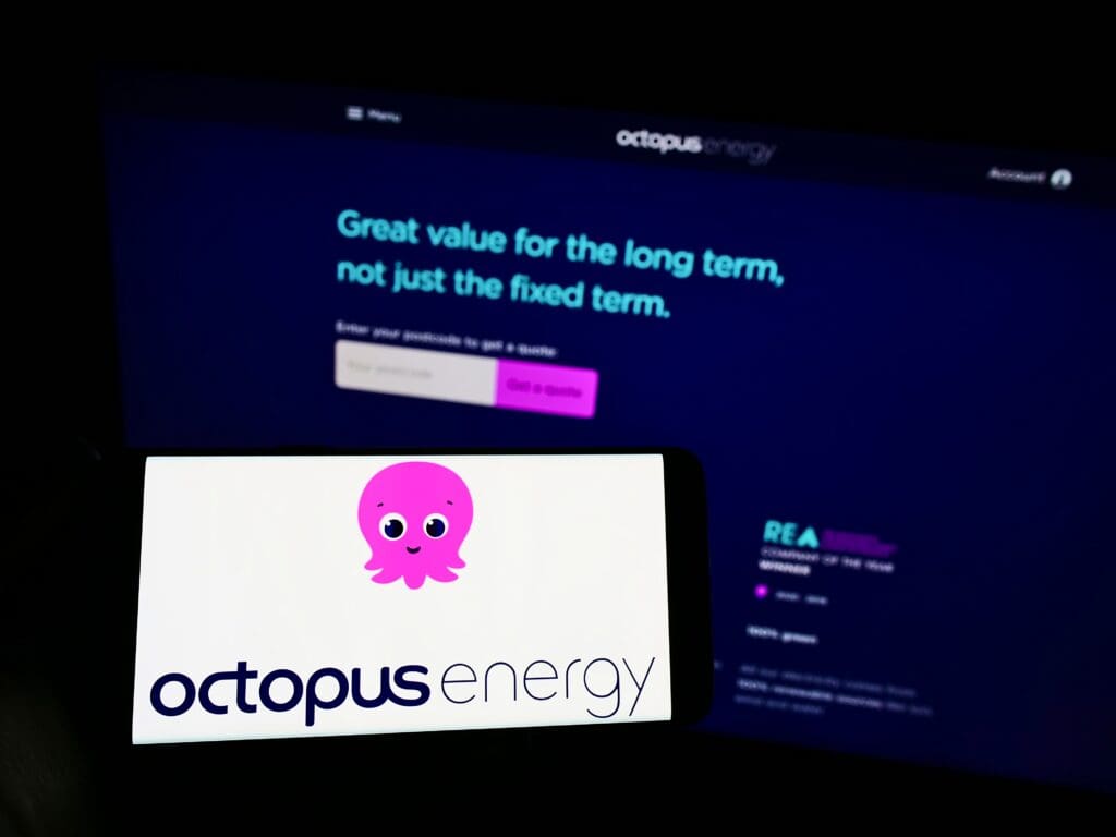 Octopus Energy was the only large energy supplier to increase its market share over the past year, new data from Ofgem reveals.