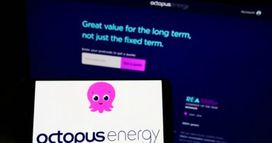 Octopus Energy was the only large energy supplier to increase its market share over the past year, new data from Ofgem reveals.